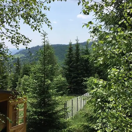Mountain Chalet - Cabana La Muntele Baisorii Muntele Cacovei  Exterior foto