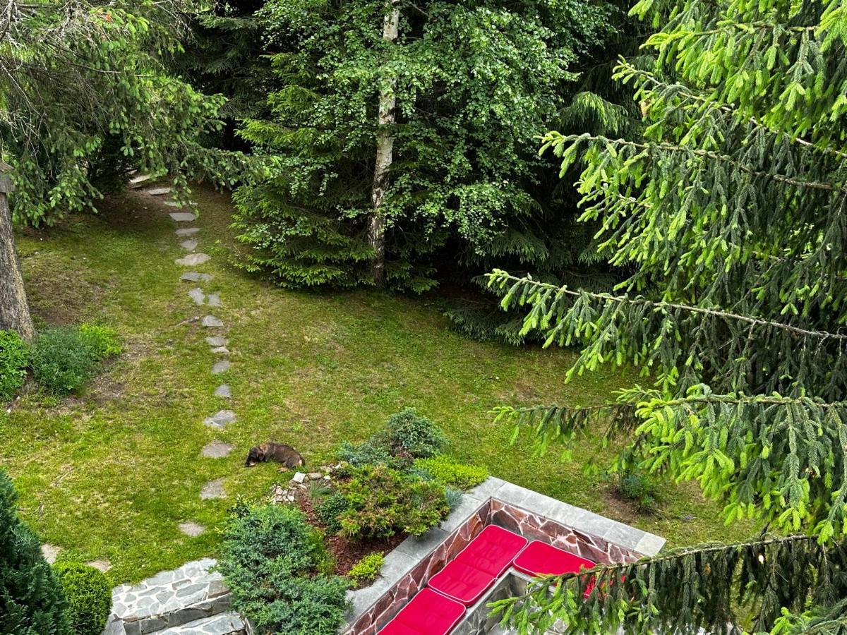 Mountain - La Muntele Baisorii Holiday home Muntele Cacovei (Transylvania)
