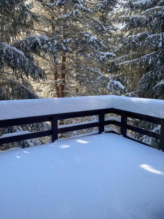 Mountain - La Muntele Baisorii Holiday home