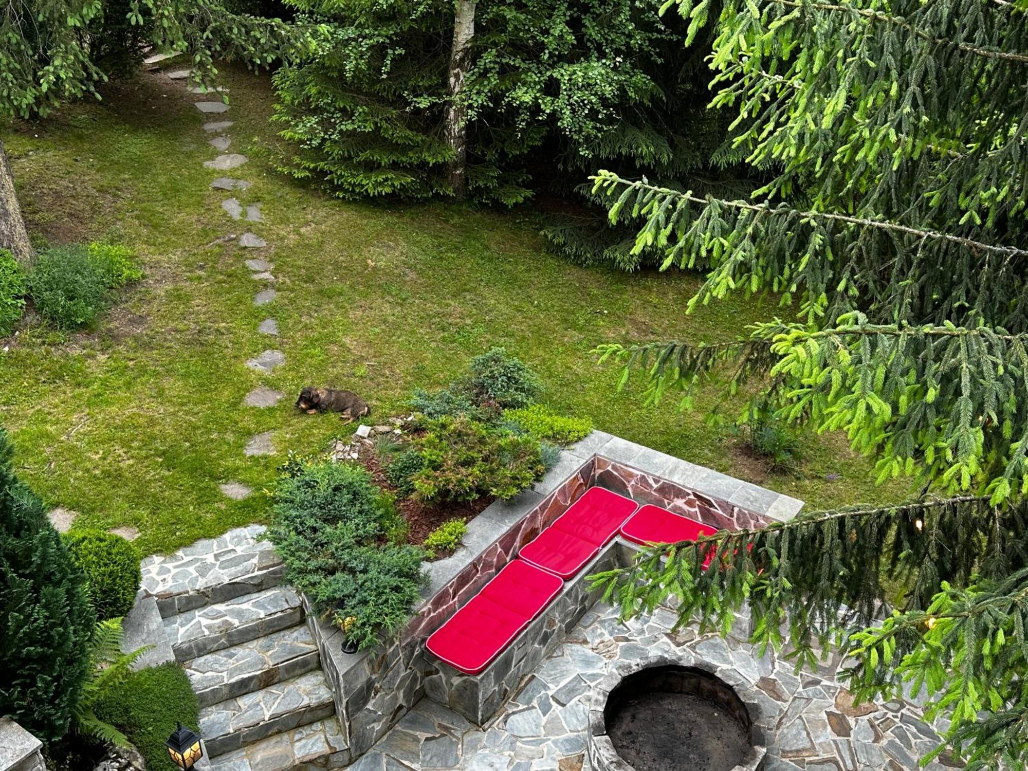 Mountain - La Muntele Baisorii Holiday home